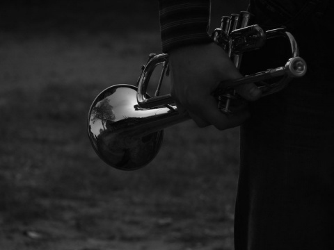 Kliknij na zdjęcie, żeby zobaczyć w pełnych wymiarach