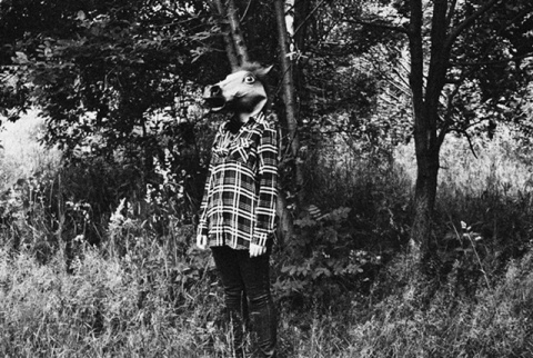 Kliknij na zdjęcie, żeby zobaczyć w pełnych wymiarach