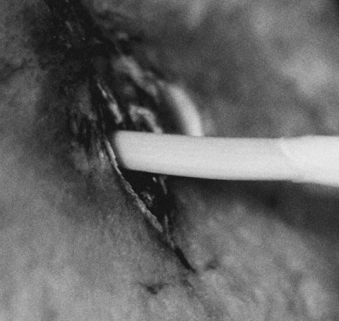 Kliknij na zdjęcie, żeby zobaczyć w pełnych wymiarach