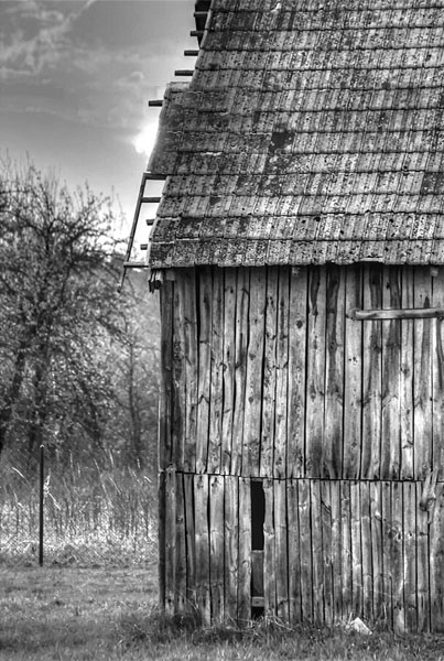 Kliknij na zdjęcie, żeby zobaczyć w pełnych wymiarach