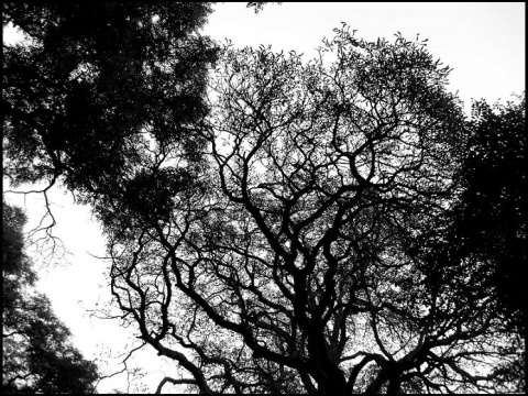 Kliknij na zdjęcie, żeby zobaczyć w pełnych wymiarach