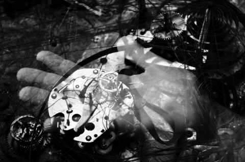 Kliknij na zdjęcie, żeby zobaczyć w pełnych wymiarach