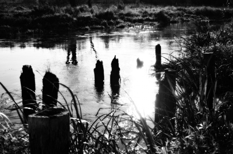 Kliknij na zdjęcie, żeby zobaczyć w pełnych wymiarach