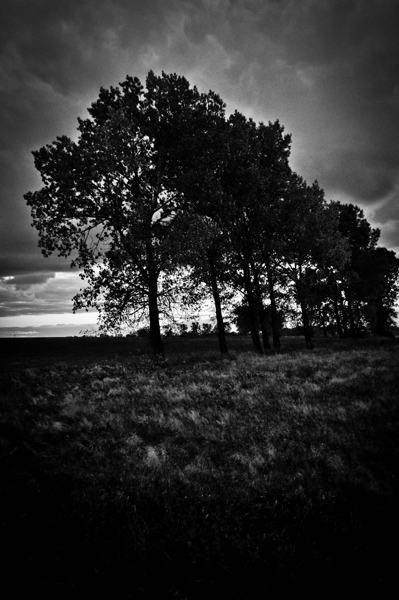 Kliknij na zdjęcie, żeby zobaczyć w pełnych wymiarach