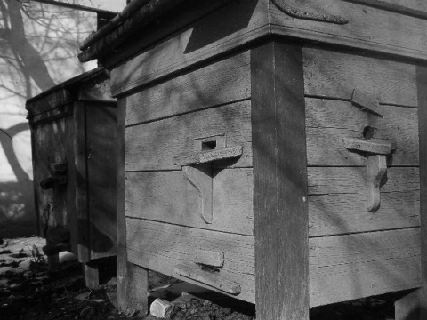 Kliknij na zdjęcie, żeby zobaczyć w pełnych wymiarach