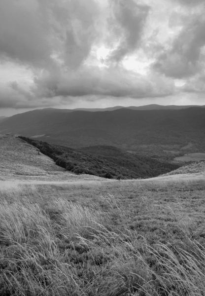 Kliknij na zdjęcie, żeby zobaczyć w pełnych wymiarach
