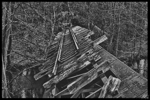 Kliknij na zdjęcie, żeby zobaczyć w pełnych wymiarach