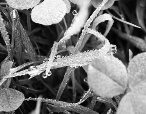 Kliknij na zdjęcie, żeby zobaczyć w pełnych wymiarach