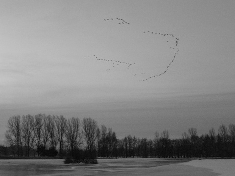 Kliknij na zdjęcie, żeby zobaczyć w pełnych wymiarach
