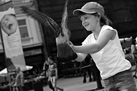 Kliknij na zdjęcie, żeby zobaczyć w pełnych wymiarach