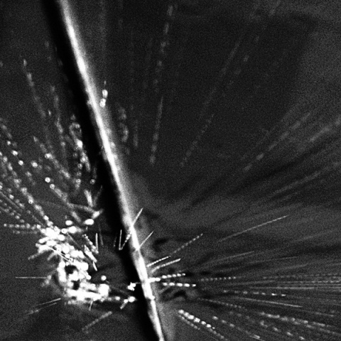 Kliknij na zdjęcie, żeby zobaczyć w pełnych wymiarach