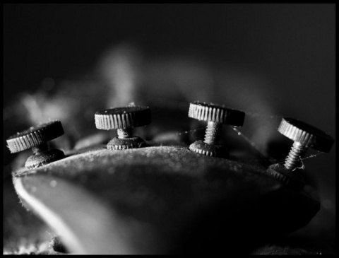 Kliknij na zdjęcie, żeby zobaczyć w pełnych wymiarach