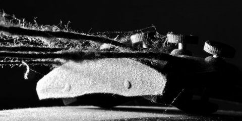 Kliknij na zdjęcie, żeby zobaczyć w pełnych wymiarach