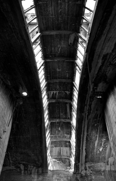 Kliknij na zdjęcie, żeby zobaczyć w pełnych wymiarach