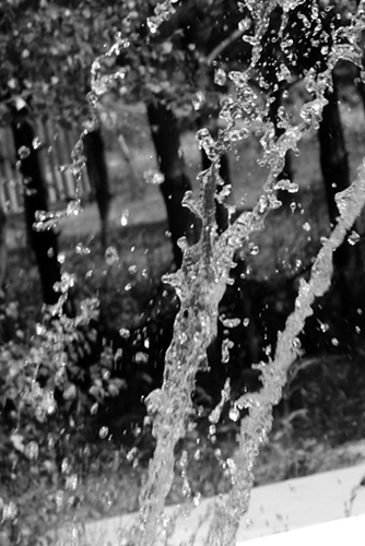 Kliknij na zdjęcie, żeby zobaczyć w pełnych wymiarach