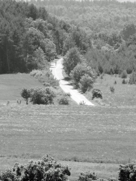 Kliknij na zdjęcie, żeby zobaczyć w pełnych wymiarach