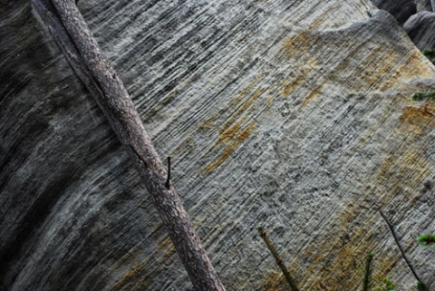 Kliknij na zdjęcie, żeby zobaczyć w pełnych wymiarach