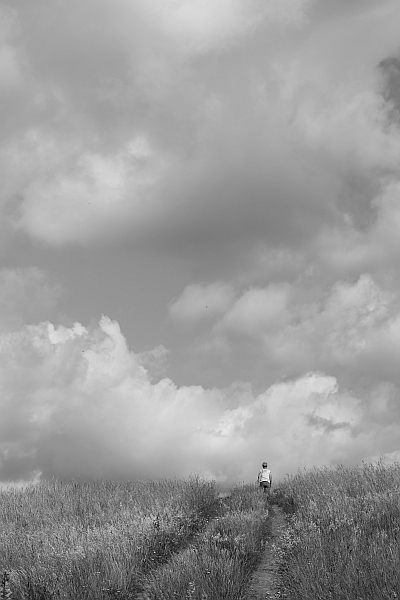 Kliknij na zdjęcie, żeby zobaczyć w pełnych wymiarach