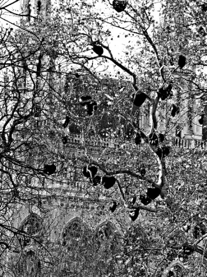 Kliknij na zdjęcie, żeby zobaczyć w pełnych wymiarach