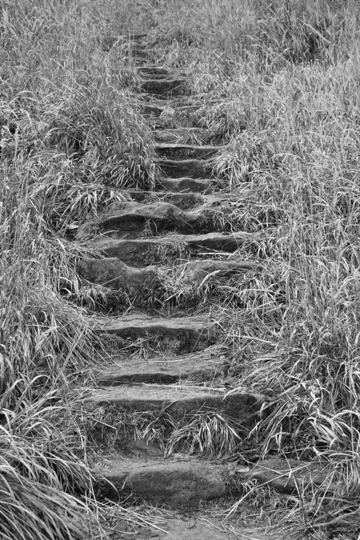 Kliknij na zdjęcie, żeby zobaczyć w pełnych wymiarach