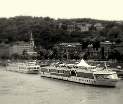 Kliknij na zdjęcie, żeby zobaczyć w pełnych wymiarach