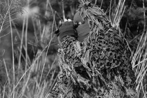 Kliknij na zdjęcie, żeby zobaczyć w pełnych wymiarach