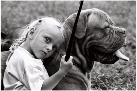 Kliknij na zdjęcie, żeby zobaczyć w pełnych wymiarach