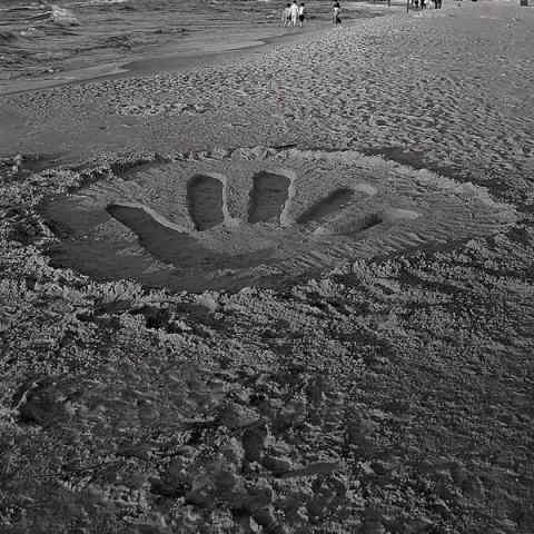 Kliknij na zdjęcie, żeby zobaczyć w pełnych wymiarach