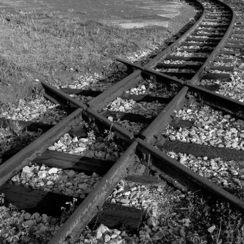 Kliknij na zdjęcie, żeby zobaczyć w pełnych wymiarach