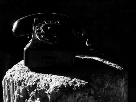 Kliknij na zdjęcie, żeby zobaczyć w pełnych wymiarach