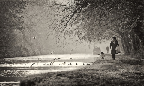 Kliknij na zdjęcie, żeby zobaczyć w pełnych wymiarach