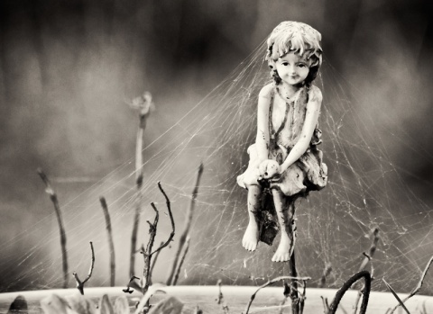 Kliknij na zdjęcie, żeby zobaczyć w pełnych wymiarach