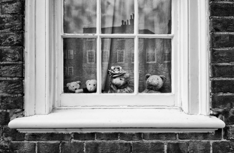 Kliknij na zdjęcie, żeby zobaczyć w pełnych wymiarach