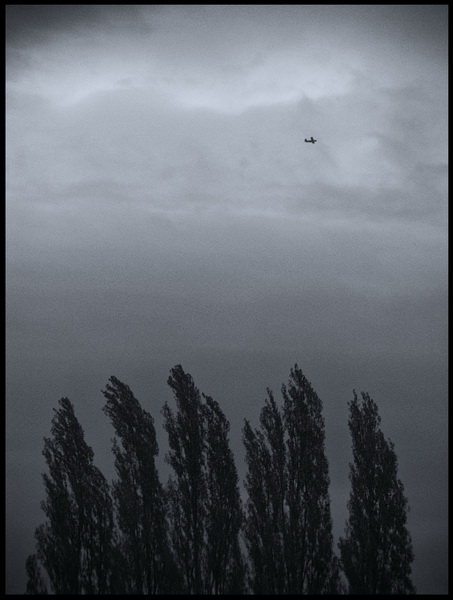 Kliknij na zdjęcie, żeby zobaczyć w pełnych wymiarach