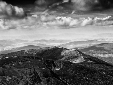 Kliknij na zdjęcie, żeby zobaczyć w pełnych wymiarach