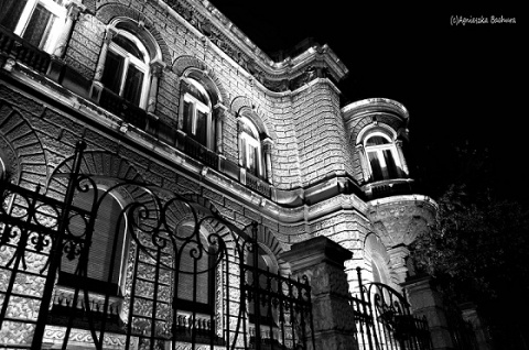 Kliknij na zdjęcie, żeby zobaczyć w pełnych wymiarach