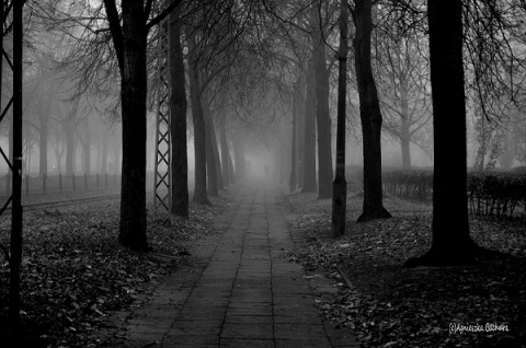 Kliknij na zdjęcie, żeby zobaczyć w pełnych wymiarach