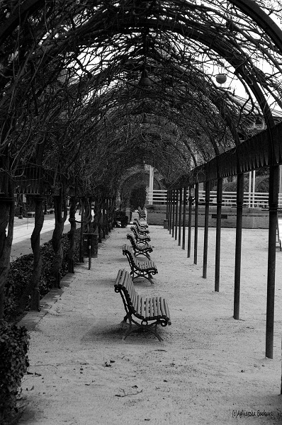 Kliknij na zdjęcie, żeby zobaczyć w pełnych wymiarach