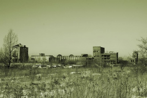 Kliknij na zdjęcie, żeby zobaczyć w pełnych wymiarach