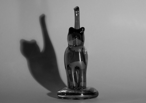 Kliknij na zdjęcie, żeby zobaczyć w pełnych wymiarach