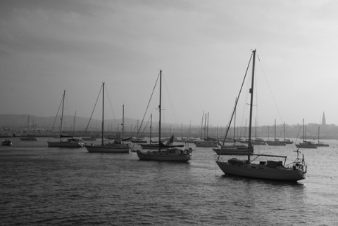 Kliknij na zdjęcie, żeby zobaczyć w pełnych wymiarach