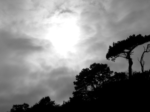 Kliknij na zdjęcie, żeby zobaczyć w pełnych wymiarach