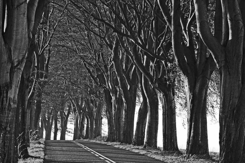 Kliknij na zdjęcie, żeby zobaczyć w pełnych wymiarach