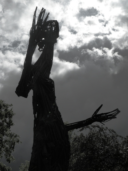 Kliknij na zdjęcie, żeby zobaczyć w pełnych wymiarach