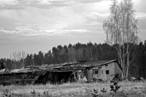 Kliknij na zdjęcie, żeby zobaczyć w pełnych wymiarach