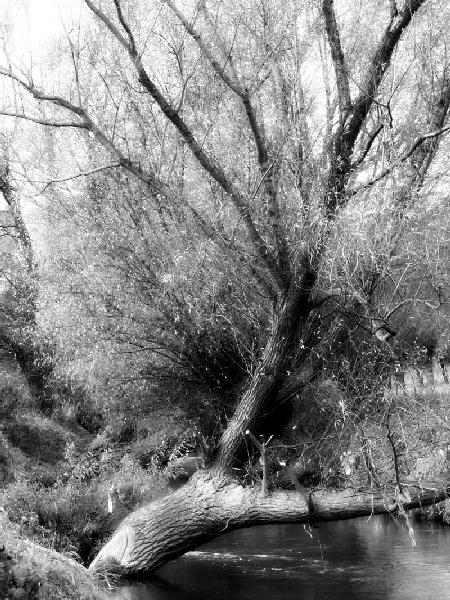 Kliknij na zdjęcie, żeby zobaczyć w pełnych wymiarach