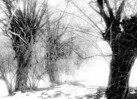 Kliknij na zdjęcie, żeby zobaczyć w pełnych wymiarach