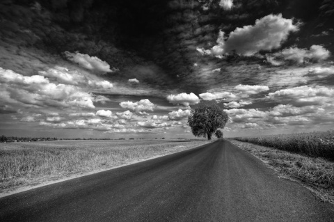 Kliknij na zdjęcie, żeby zobaczyć w pełnych wymiarach