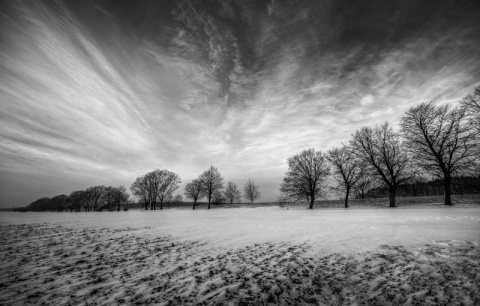 Kliknij na zdjęcie, żeby zobaczyć w pełnych wymiarach