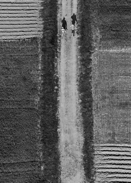 Kliknij na zdjęcie, żeby zobaczyć w pełnych wymiarach